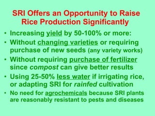 SRI Offers an Opportunity to Raise Rice Production Significantly  <ul><li>Increasing  yield  by 50-100% or more: </li></ul...