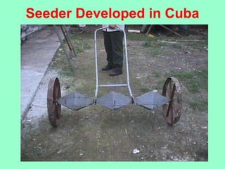Seeder Developed in Cuba 