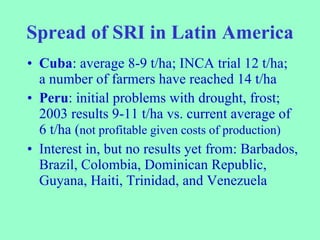 Spread of SRI in Latin America <ul><li>Cuba : average 8-9 t/ha; INCA trial 12 t/ha;  a number of farmers have reached 14 t...