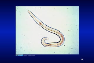 Source Undetermined



                      14
 