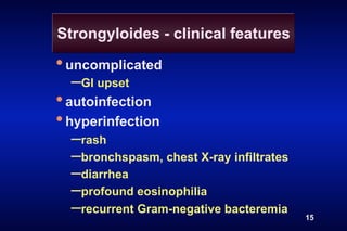 Strongyloides - clinical features

• uncomplicated
  – GI upset
• autoinfection
• hyperinfection
  – rash
  – bronchspasm, chest X-ray infiltrates
  – diarrhea
  – profound eosinophilia
  – recurrent Gram-negative bacteremia     15
 