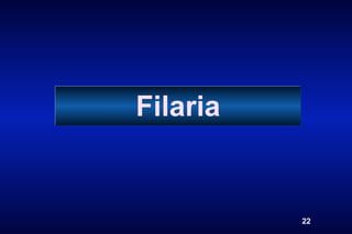 Filaria


          22
 