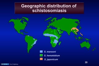 Geographic distribution of
                     schistosomiasis




                           S. mansoni
                           S. hematobium
                           S. japonicum
                                              35
Cary Engleberg
 