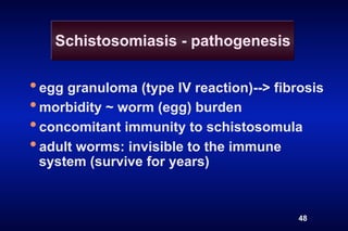 Schistosomiasis - pathogenesis


• egg granuloma (type IV reaction)--> fibrosis
• morbidity ~ worm (egg) burden
• concomitant immunity to schistosomula
• adult worms: invisible to the immune
 system (survive for years)



                                          48
 