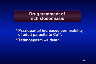 Drug treatment of
         schistosomiasis

• Praziquantel increases permeability
  of adult parasite to Ca++.
• Tetanospasm --> death


                                    50
 