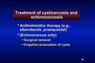 Treatment of cysticercosis and
       echinococcosis
• Antihelminthic therapy (e.g.,
  albendazole, praziquantel)
• (Echinococcus only)
   – Surgical removal
   – Irrigation-evacuation of cysts

                                      63
 