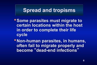 Spread and tropisms
• Some parasites must migrate to
  certain locations within the host
  in order to complete their life
  cycle
• Non-human parasites, in humans,
  often fail to migrate properly and
  become dead-end infections

                                   6
 