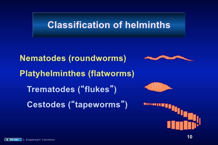 04.30.09 Helmintic Infections