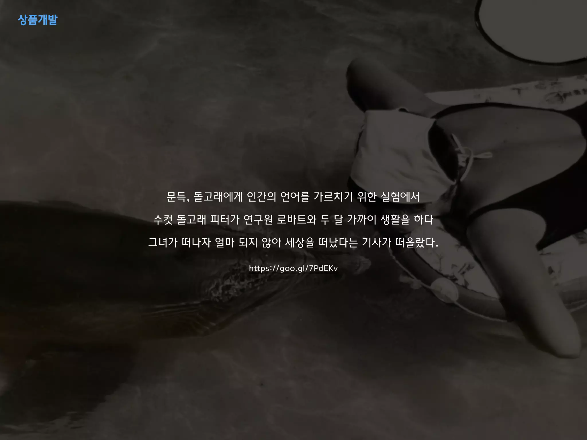 문득, 돌고래에게 인간의 언어를 가르치기 위한 실험에서
수컷 돌고래 피터가 연구원 로바트와 두 달 가까이 생활을 하다
그녀가 떠나자 얼마 되지 않아 세상을 떠났다는 기사가 떠올랐다.
https://goo.gl/7PdEKv
상품개발
 