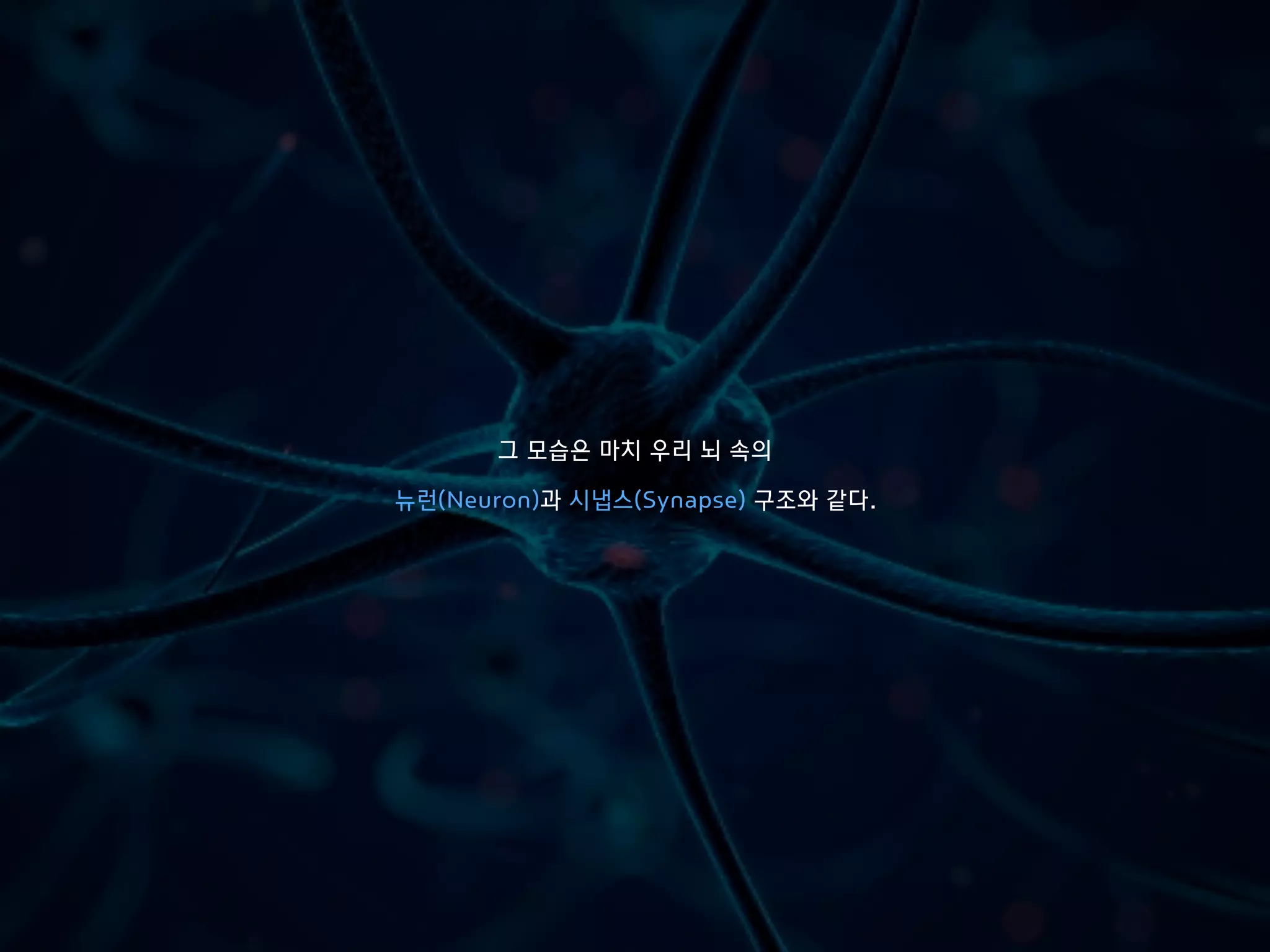 그 모습은 마치 우리 뇌 속의
뉴런(Neuron)과 시냅스(Synapse) 구조와 같다.
 