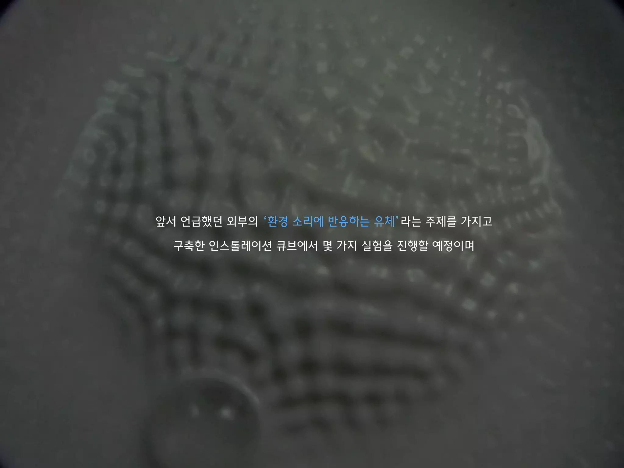 앞서 언급했던 외부의 ‘환경 소리에 반응하는 유체’라는 주제를 가지고
구축한 인스톨레이션 큐브에서 몇 가지 실험을 진행할 예정이며
 