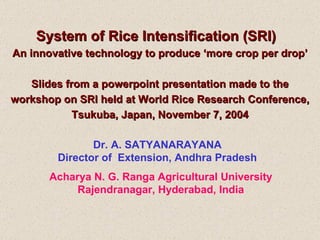 System of Rice Intensification (SRI)  An innovative technology to produce ‘more crop per drop’ Slides from a powerpoint presentation made to the workshop on SRI held at World Rice Research Conference, Tsukuba, Japan, November 7, 2004 Dr. A. SATYANARAYANA Director of  Extension, Andhra Pradesh Acharya N. G. Ranga Agricultural University Rajendranagar, Hyderabad, India 