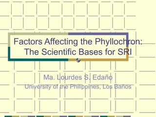 Factors Affecting the Phyllochron: The Scientific Bases for SRI Ma. Lourdes S. Edaño University of the Philippines, Los Ba ñ os 