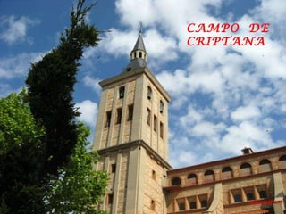 CAMPO  DE CRIPTANA 
