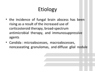 Etiology
• the incidence of fungal brain abscess has been
rising as a result of the increased use of
corticosteroid therapy, broad-spectrum
antimicrobial therapy, and immunosuppressive
agents
• Candida : microabscesses, macroabscesses,
noncaseating granulomas, and diffuse glial nodule
 