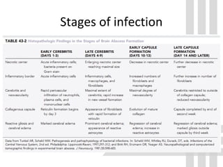 Stages of infection
 
