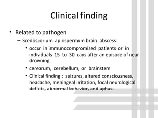 Clinical finding
• Related to pathogen
– Scedosporium apiospermum brain abscess :
• occur in immunocompromised patients or in
individuals 15 to 30 days after an episode of near-
drowning
• cerebrum, cerebellum, or brainstem
• Clinical finding : seizures, altered consciousness,
headache, meningeal irritation, focal neurological
deficits, abnormal behavior, and aphasi
 