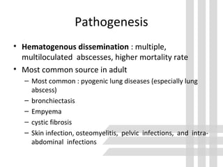 Pathogenesis
• Hematogenous dissemination : multiple,
multiloculated abscesses, higher mortality rate
• Most common source in adult
– Most common : pyogenic lung diseases (especially lung
abscess)
– bronchiectasis
– Empyema
– cystic fibrosis
– Skin infection, osteomyelitis, pelvic infections, and intra-
abdominal infections
 