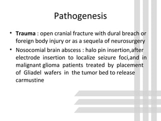 Pathogenesis
• Trauma : open cranial fracture with dural breach or
foreign body injury or as a sequela of neurosurgery
• Nosocomial brain abscess : halo pin insertion,after
electrode insertion to localize seizure foci,and in
malignant glioma patients treated by placement
of Gliadel wafers in the tumor bed to release
carmustine
 