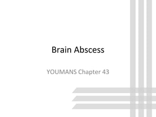 Brain Abscess
YOUMANS Chapter 43
 