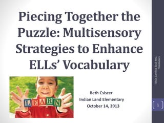 Piecing Together the
Puzzle: Multisensory
Strategies to Enhance
ELLs’ Vocabulary
Beth Csiszer
Indian Land Elementary
October 14, 2013
TESOLCarolina2013MSL
Vocabulary
1
 
