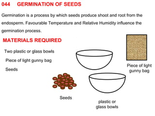 044 GERMINATION OF SEEDS 
Germination is a process by which seeds produce shoot and root from the 
endosperm. Favourable Temperature and Relative Humidity influence the 
germination process. 
MATERIALS REQUIRED 
Two plastic or glass bowls 
Piece of light gunny bag 
Seeds 
Seeds 
Piece of light 
gunny bag 
plastic or 
glass bowls 
 