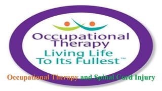 Occupational Therapy and Spinal Cord Injury
 