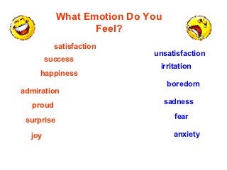 What Emotion Do You
                   Feel?
          satisfaction
                             unsatisfaction
        success
                              irritation
     happiness
                                  boredom
admiration
  proud                           sadness

 surprise                           fear

  joy                               anxiety
 
