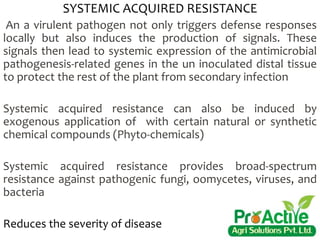 SYSTEMIC ACQUIRED RESISTANCE
An a virulent pathogen not only triggers defense responses
locally but also induces the production of signals. These
signals then lead to systemic expression of the antimicrobial
pathogenesis-related genes in the un inoculated distal tissue
to protect the rest of the plant from secondary infection
Systemic acquired resistance can also be induced by
exogenous application of with certain natural or synthetic
chemical compounds (Phyto-chemicals)
Systemic acquired resistance provides broad-spectrum
resistance against pathogenic fungi, oomycetes, viruses, and
bacteria
Reduces the severity of disease
 