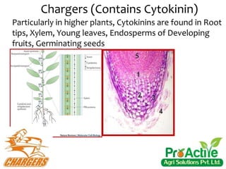 Particularly in higher plants, Cytokinins are found in Root
tips, Xylem, Young leaves, Endosperms of Developing
fruits, Germinating seeds
Chargers (Contains Cytokinin)
 