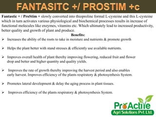 Fantastic + / ProStim + slowly converted into thioproline formal L-cysteine and this L-cysteine
which in turn activates various physiological and biochemical processes results in increase of
functional molecules like enzymes, vitamins etc. Which ultimately lead to increased productivity,
better quality and growth of plant and produce.
Benefits:
 Increases the ability of the roots to take in moisture and nutrients & promote growth
 Helps the plant better with stand stresses & efficiently use available nutrients.
 Improves overall health of plant thereby improving flowering, reduced fruit and flower
drop and better and higher quantity and quality yields.
 Improves the rate of growth thereby improving the harvest period and also enables
early harvest. Improves efficiency of the plants respiratory & photosynthesis System.
 Promotes lateral development & delay the aging process in plant tissues.
 Improves efficiency of the plants respiratory & photosynthesis System.
 