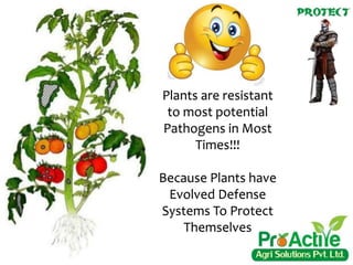 Plants are resistant
to most potential
Pathogens in Most
Times!!!
Because Plants have
Evolved Defense
Systems To Protect
Themselves
 
