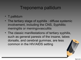 Treponema pallidum
• T.pallidum
• The tertiary stage of syphilis : diffuse systemic
involvement, including the CNS, Syphilitic
meningitis or meningovasculitis
• The classic manifestations of tertiary syphilis,
such as general paresis of the insane, tabes
dorsalis, and cerebral gummas, are less
common in the HIV/AIDS setting
 