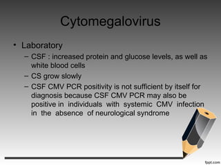 Cytomegalovirus
• Laboratory
– CSF : increased protein and glucose levels, as well as
white blood cells
– CS grow slowly
– CSF CMV PCR positivity is not sufficient by itself for
diagnosis because CSF CMV PCR may also be
positive in individuals with systemic CMV infection
in the absence of neurological syndrome
 