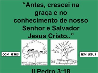 “ Antes, crescei na graça e no conhecimento de nosso Senhor e Salvador Jesus Cristo..” II Pedro 3:18 COM  JESUS SEM  JESUS 