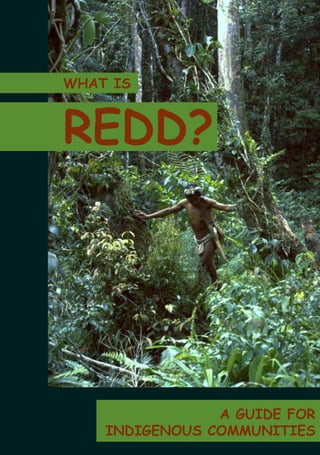 A GUIDE FOR 
WHAT IS 
REDD? 
INDIGENOUS COMMUNITIES 
 