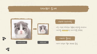 제 17회 보아즈(BOAZ) 빅데이터 컨퍼런스 - [6시내고양포CAT몬] : Cat Anti-aging Project based StyleGAN2