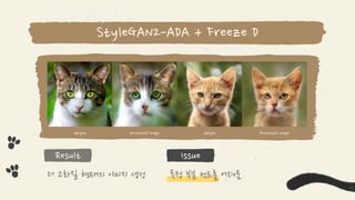 제 17회 보아즈(BOAZ) 빅데이터 컨퍼런스 - [6시내고양포CAT몬] : Cat Anti-aging Project based StyleGAN2