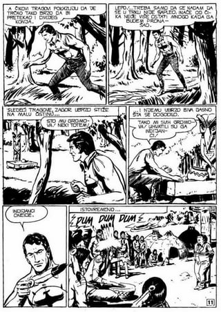 0490. vodopad belog konja