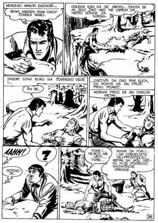 0490. vodopad belog konja