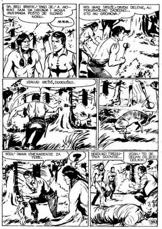 0490. vodopad belog konja