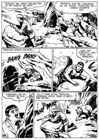 0490. vodopad belog konja