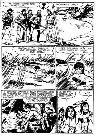 0490. vodopad belog konja