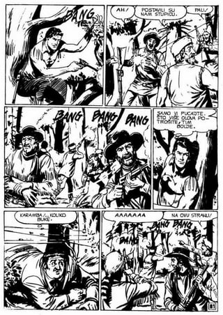 0490. vodopad belog konja