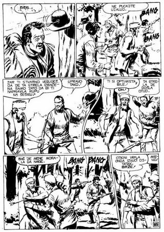 0490. vodopad belog konja