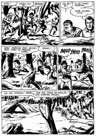 0490. vodopad belog konja