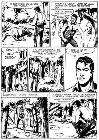 0490. vodopad belog konja