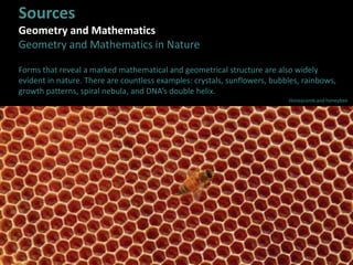 Sources
Geometry and Mathematics
Geometry and Mathematics in Nature
Forms that reveal a marked mathematical and geometrical structure are also widely
evident in nature. There are countless examples: crystals, sunflowers, bubbles, rainbows,
growth patterns, spiral nebula, and DNA’s double helix.
Honeycomb and honeybee
 