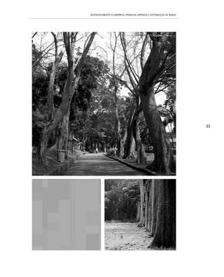 DESENVOLVIMENTO ECONôMICO, TRAbALhO, EMPREgO E DISTRIbUIÇÃO DE RENDA




                                            FOTOS: Jefferson Pancieri




                                                                        33
 