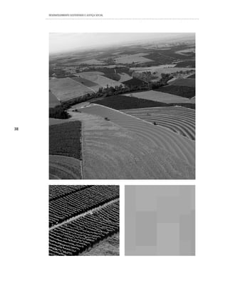 DESENVOLVIMENTO SUSTENTADO E JUSTIÇA SOCIAL




38
 